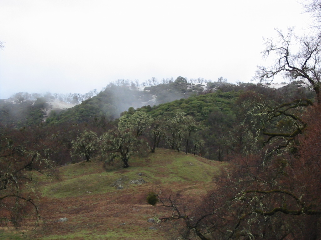 A saner, cleaner world